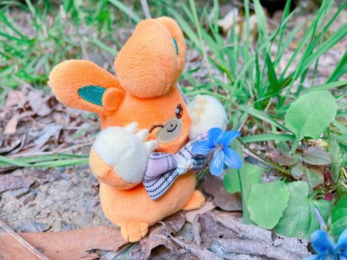 はつでんちゃんです〜⭐︎
今日はおさんぽに行きました♪
昨日は寒かったけれど、今日はすみれが咲いてました💕
桜のつぼみもふくらんでいて、もうすぐ咲きそうだったよっ✨
春はもうすぐそこだね☘️