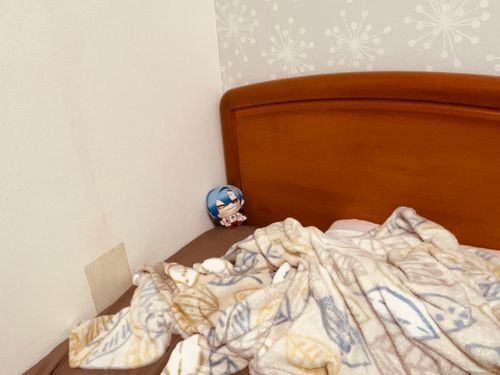 ベッドの端っこを守護する、にま