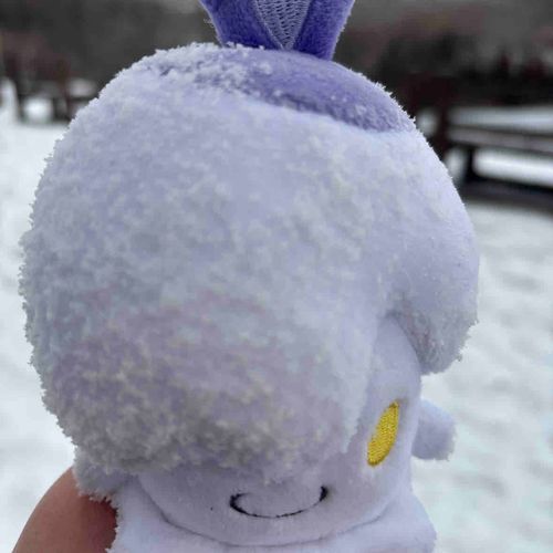 風吹いて雪にぶっ込んじゃって、濡れていらいらもちもち😂😂😂

もちもち）もちもちもちもちもちもちーーーー！💢💢
