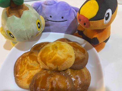 みんな来てくれた😭🩷

失敗じゃなかったってことだね！

ちなみになえとるとめたもんは昨日来たばっかりの新入りです😆