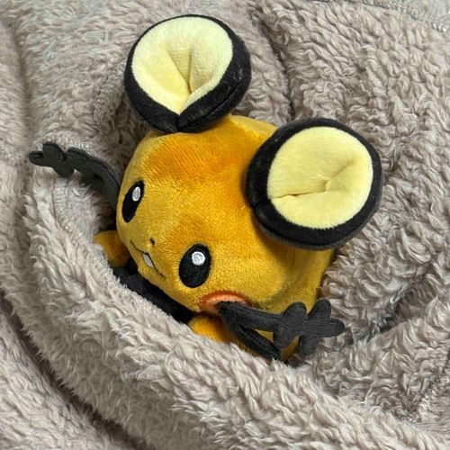 上着のポケットに入ってぬくぬくしてるでね

疲れてるように見えるけど大丈夫かな、？

でね）でねね、、、、、