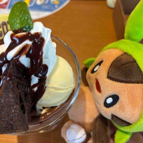 はりまろと一緒にココス！

きゅるんきゅるんなおめめがかわちい🩷