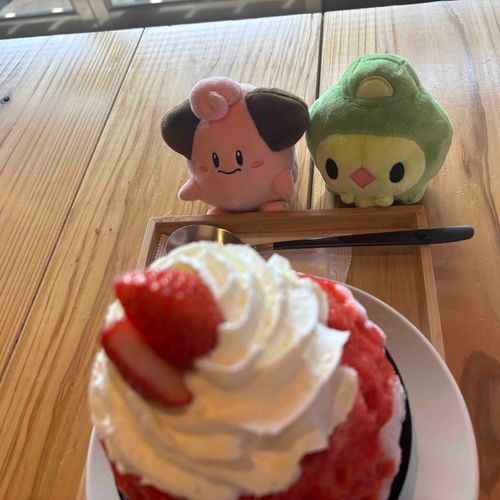ぴちゃとだぶらんとかき氷食べに来たよ！

ちょっとだぶらん寒そう、、、、、

でも美味しかったね！