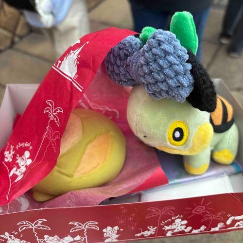 ディズニーに行ってきた！

なえとるもミニーの被り物できて、マイクのメロンパンも食べれて幸せそう🩷
