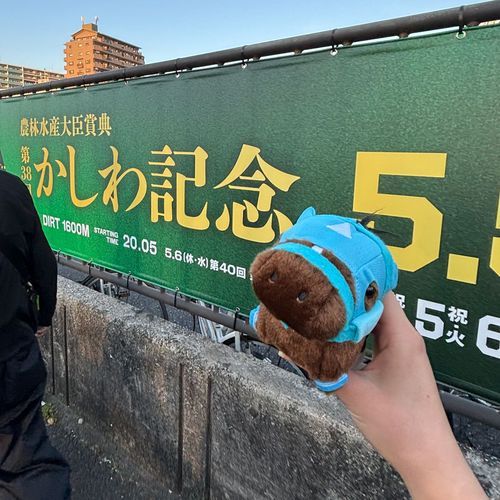 おじゅう、初船橋競馬場上陸！

