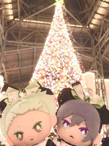 うつくしいつりーだ。