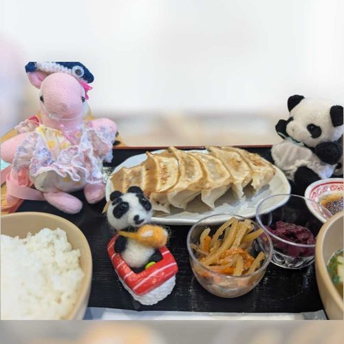 しぶきだよー！
餃子定食を食べたよぉ！