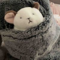 おてて