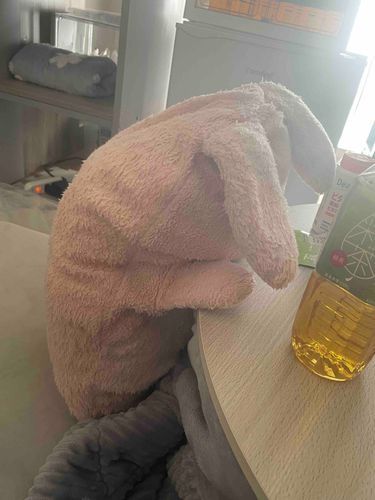 くっ…なんとか起き上がるっす