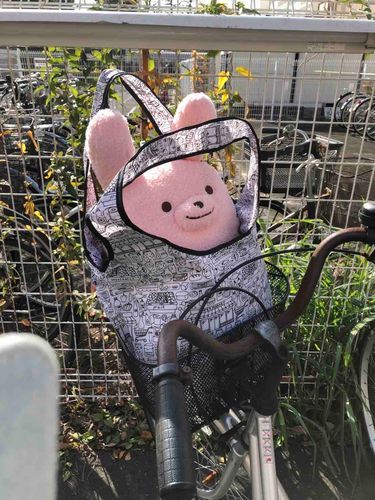 主人がダイソーから連れ出してくれた時の写真が残ってやした
プリティーな自分を通行人に見られて気分が良かったっスね！
主人は恥ずかしがってやしたけど…