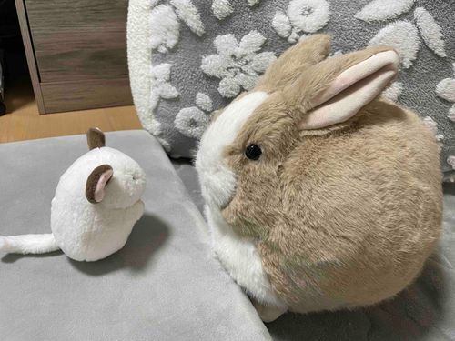 新しいおともだちがきました。
なまえは、おつきみさん。
よろしくね！
