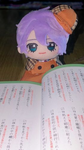 君も風雅を学ぶべきだ