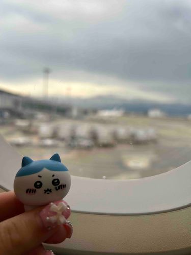 飛行機怖くﾅｲ…ｯｯ!!