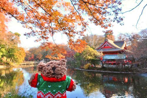 井の頭公園をお散歩したよ〜！
いいお天気でうれしいな☀️