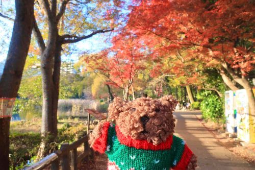 天気がいい日のお散歩は最高だね〜！