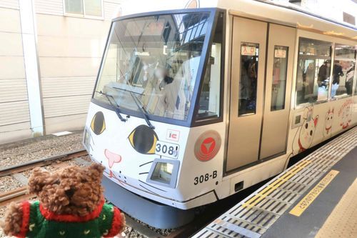 まねき猫の電車に乗ってお出かけだよ〜🚃🐾
