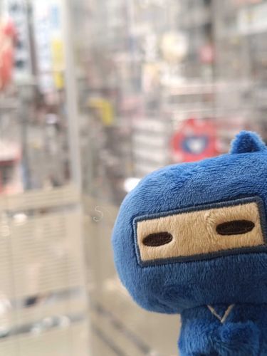 大阪って色んなものあるね、ござるっち。