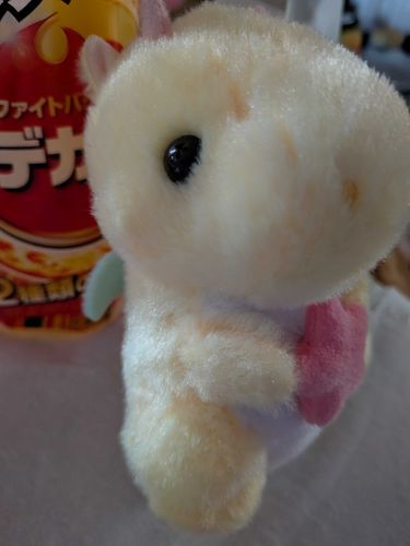 おはようございます
雨降りです
のんびりゆっくりね