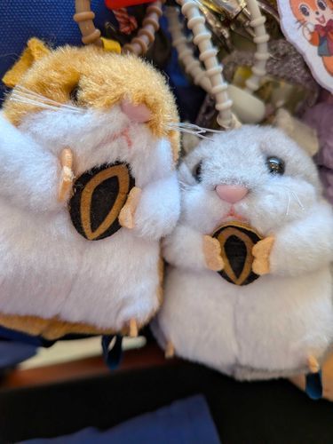 ママ〜大丈夫あおよ
ママ〜大丈夫るなよ
葵(あおい）と月(るな）です
ありがとうね😢


