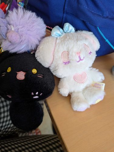 おはようございます
主のリュックサックにつけてもらったよ
熱中症氣をつけて水分補給しながら過ごしてね