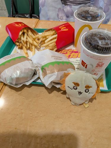 主の娘達と昨日ショッピングセンター
行ってきたよ
久々にマック食べたよ
美味しかった😊