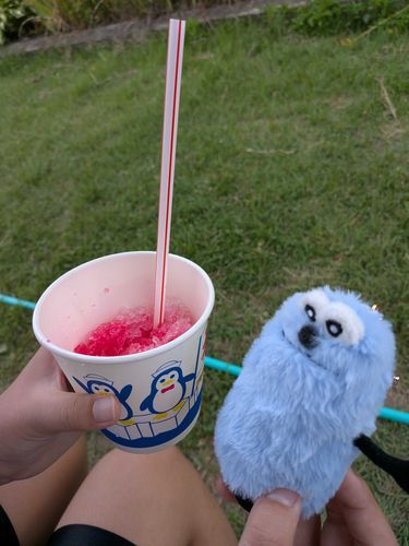 主と娘達と一緒に小学校近くの夏祭りにきたよ
この前、お迎えしたスンスンと一緒に
かき氷美味しいね〜😄