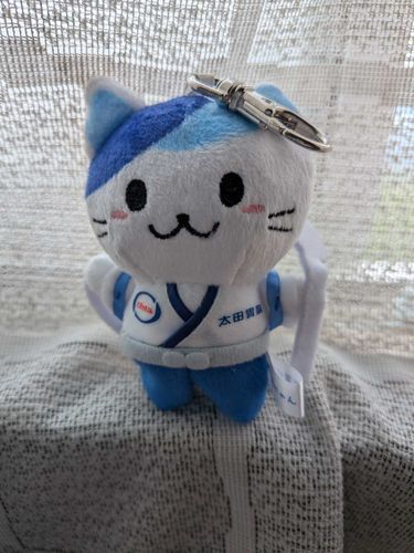 中古品のお店でみつけた
かわいいネコちゃん
お迎えしました
よろしくね
