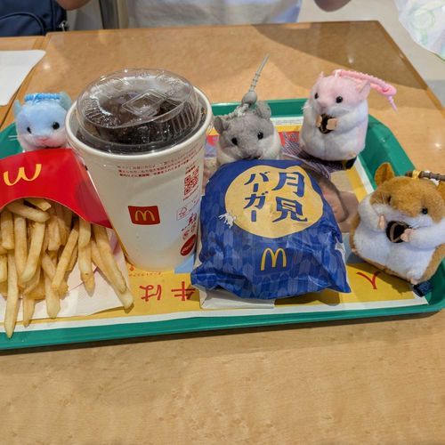 日曜日に主と娘達と久々のショッピングセンターへおでかけしたよ
主が欲しかったぬいさんが売り切れだった…
でもね主が初めて食べた月見バーガー
美味しかったって言ってたよ
いつか欲しかったぬいさんにあえるよ
