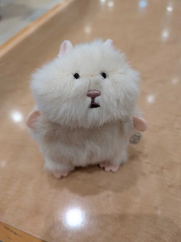 やっと会えました〜😭
はむにぎりのマスコットだけど嬉しい😭
よろしくね
