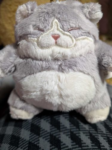 こんばんはお疲れ様です
昨日娘達とショッピングセンターへ行き
ショップみていたら、みつけた
ねこちゃん
ねこ肯定感ってタグがついていたよ
メンタル下がりやすい主の為に
一緒にいるニャン😸

