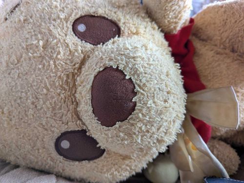 こんにちはお疲れ様です
三女のプーさんとのんびりゆっくり
してるよ