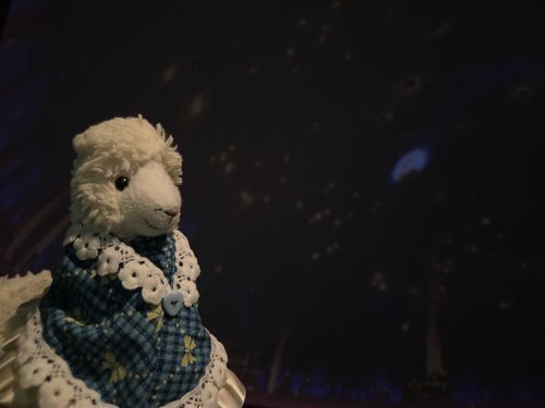 プラ ネタリウ ム撮影カノう 時間に飼い主 に 撮ってもらったよ！ ✨
でもなんだか星空🌟よりｱﾙﾊﾟｶ が 発光しちゃった！…から星！うつってない よ！


[自分の人生の主役は自分だものね]