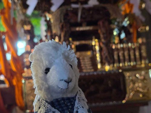 お祭り の、おﾐｺｼ！
 だよ！ほわしょほわしｮ🏮⛩️🏮


[その眼の輝き、お神輿に負けてないね]