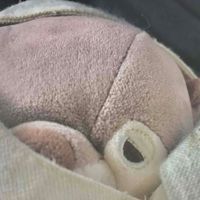 こもちゃん