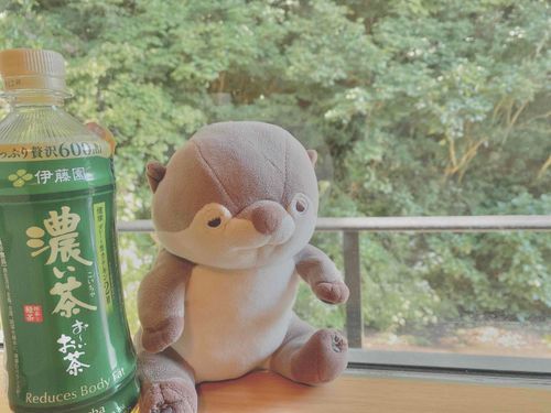 みんな、おはよ〜🔆
のどかだねえ
こ〜〜〜〜い、お茶🍵