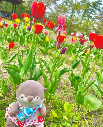 さむすぎるから、
あったかいしゃしん
はるね〜