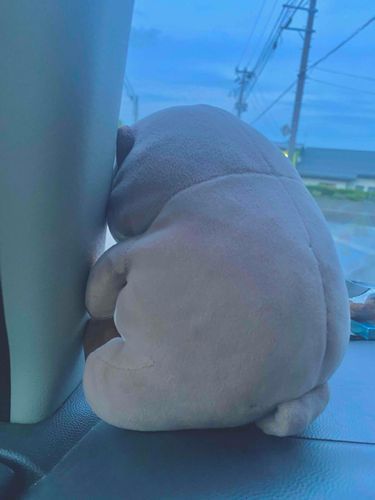 すとっくなくなってきたよ〜💦て、こもぬしが
そんなの、とればいいじゃない