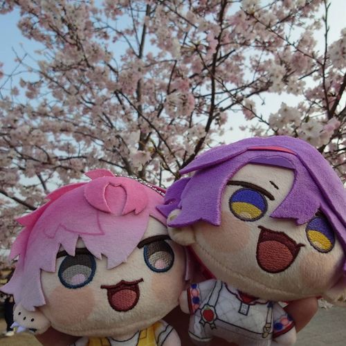 桜（♦︎☕＆👑🌸）