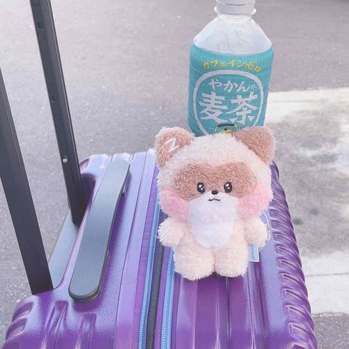 お盆は充実してたね！