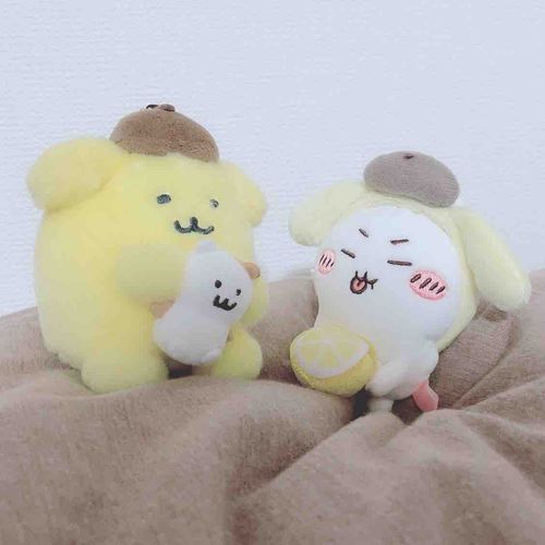 だからすっぱいっていったのに…🍋