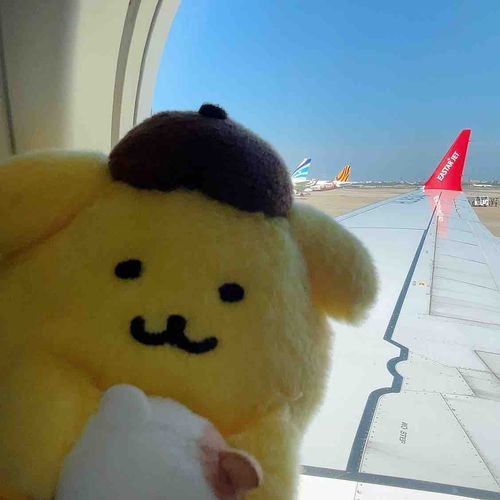ぬしと🇰🇷にいってきたよ