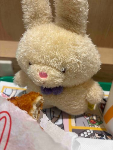 久々にシャカシャカチキンをたべたとん！おいしいとんね〜！