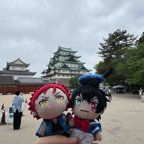 お城だぬ。