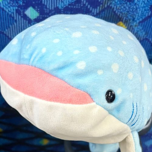 ジンベイザメのベイちゃんです！
ベイちゃんと仲間達ののんびりライフをのぞいてみて下さい♡