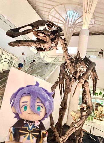 いつかの過日に歌仙さんと博物館に行った写真です🦕
写っているのはカムイサウルスのレプリカ。名前には「日本の恐竜の神」という意味がこめられているそうです！カッコい〜……😳