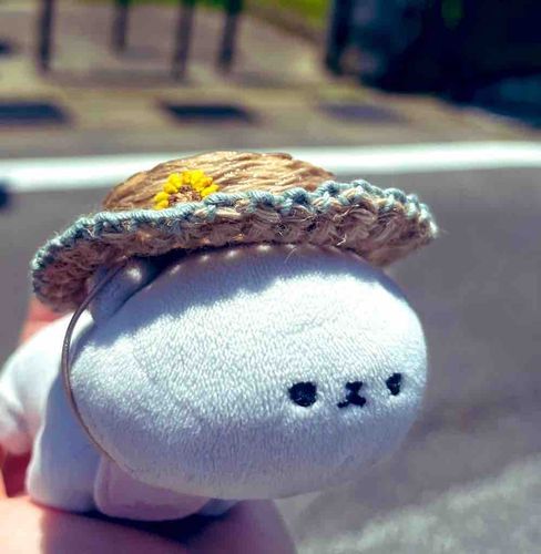 真夏日がすぎるね〜溶けちゃうね𝓑𝓪𝓫𝔂…