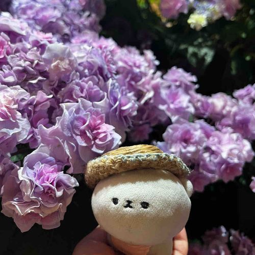 綺麗な色のお花だね𝓑𝓪𝓫𝔂…