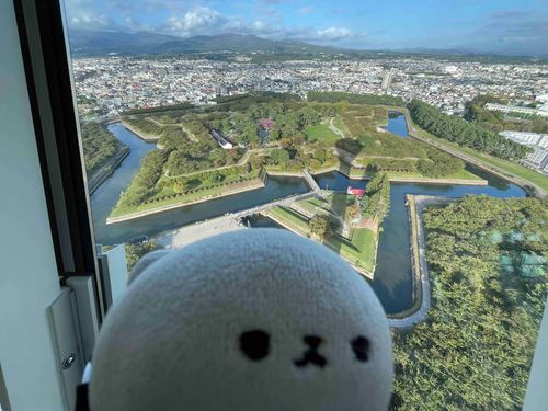 これが五稜郭だよ𝓑𝓪𝓫𝔂…