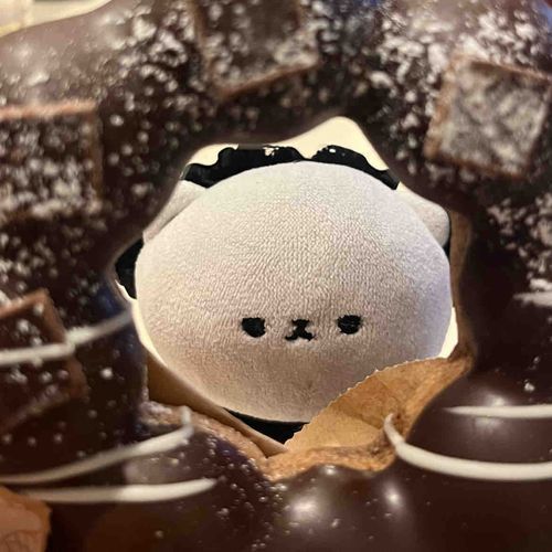 サイズ的にはポンデライオンだね𝓑𝓪𝓫𝔂…