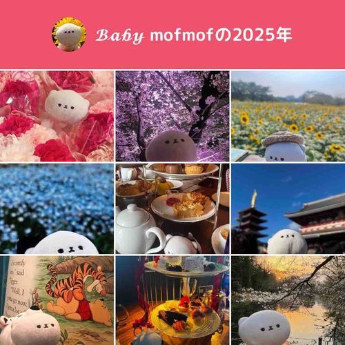今年も𝓑𝓪𝓫𝔂…をありがとう
来年も𝓑𝓪𝓫𝔂…をよろしくね